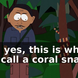 Oh, yes, this is what we call a coral snake.