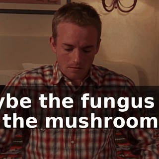 maybe the fungus will eat the mushrooms.