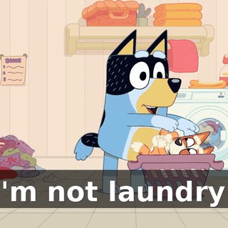 I'm not laundry!