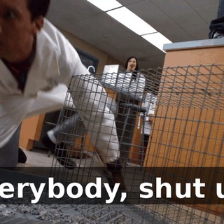 ffaf9ae4-d362-4ae9-b08b-877bb2753656.gif