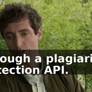 through a plagiarism detection API.