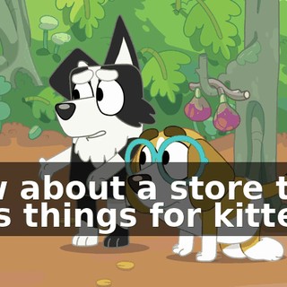 How about a store that sells things for kittens?